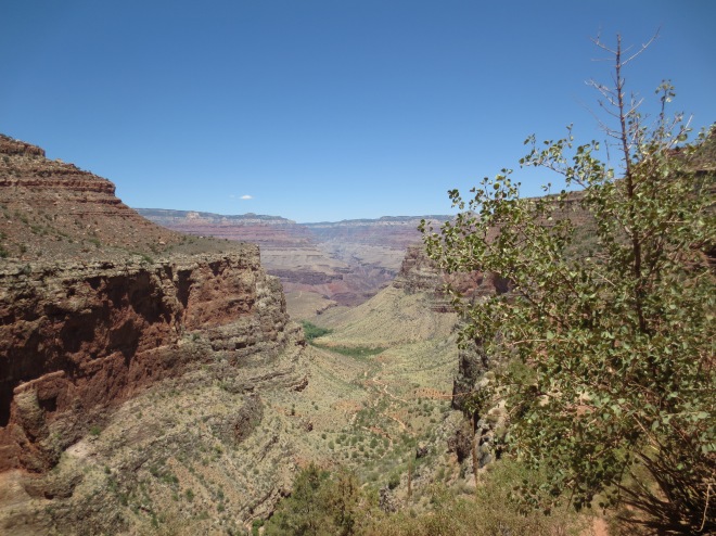 Canyon Vista 5